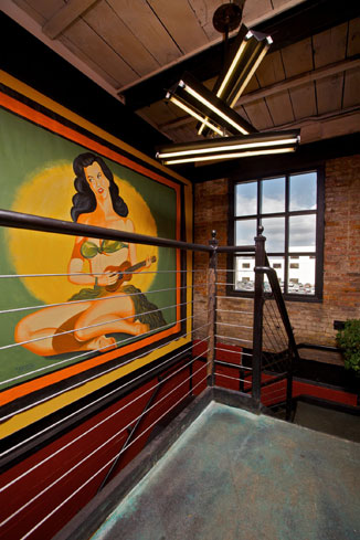 Dinosaur5